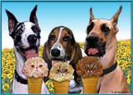 Kitty Cones II link