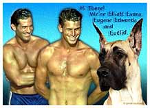 Emale Link