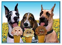 KittyCone Link